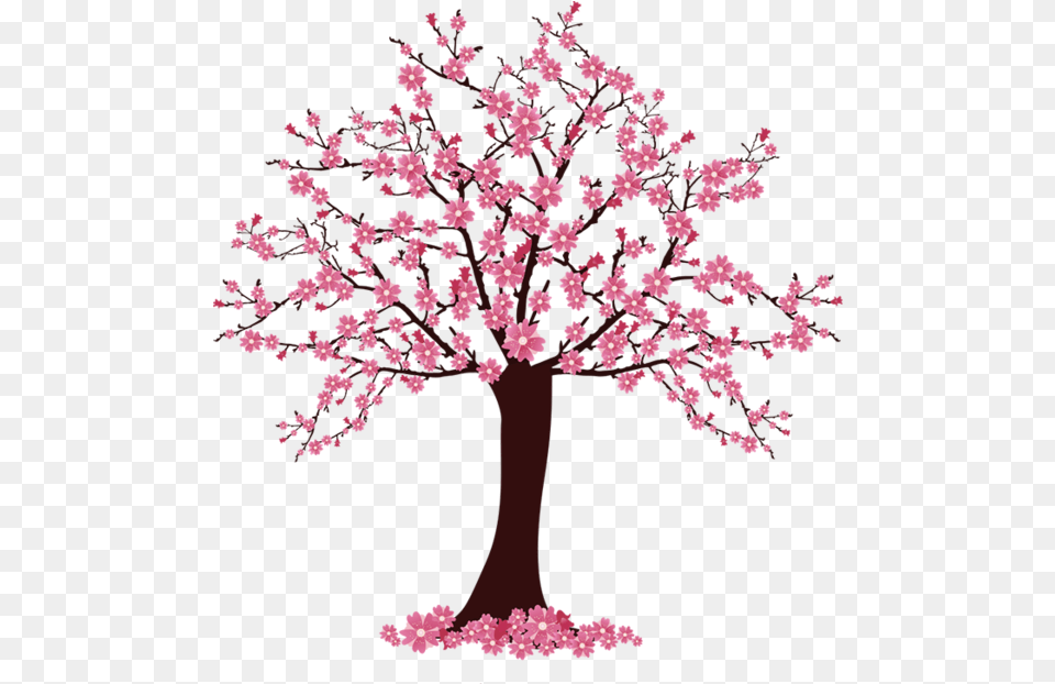 Arbre, Flower, Plant, Cherry Blossom, Petal Png