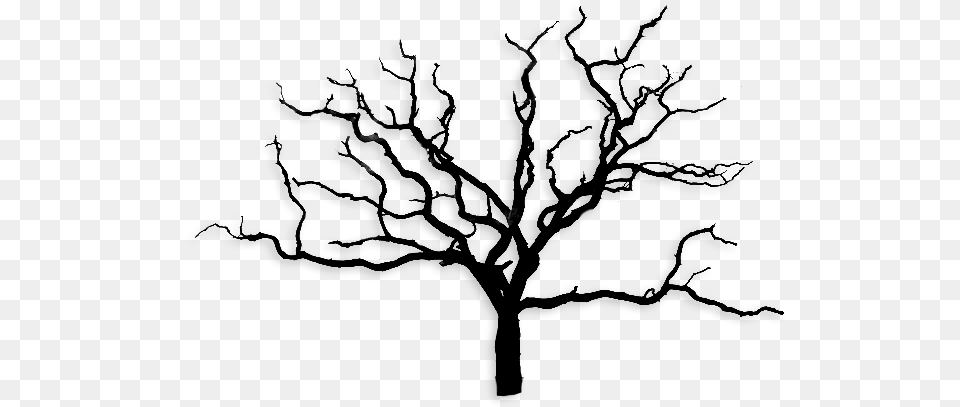 Arbre Sans Feuille Images Black And White Dead Trees, Art, Drawing, Plant, Ice Png