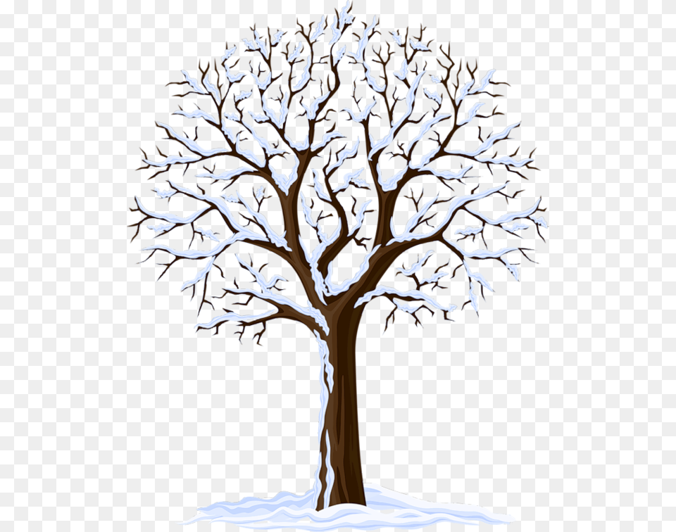 Arbre Tree Stromy, Plant, Tree Trunk, Oak, Ice Free Transparent Png