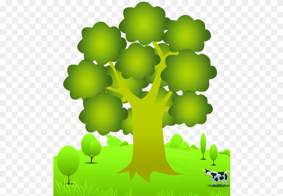 Arbretubespng Child, Sycamore, Plant, Green, Vegetation Free Png Download