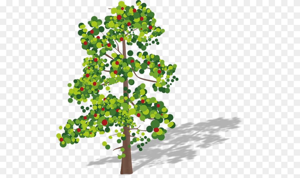 Arbretubespng Trees Clip Art, Oak, Plant, Sycamore, Tree Free Png Download