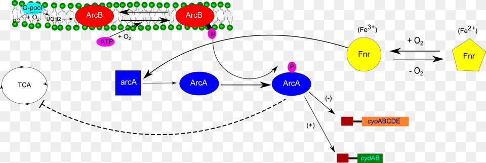 Arc Regulation Diagram Free Png