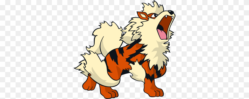 Arcanine, Baby, Person, Face, Head Free Png Download