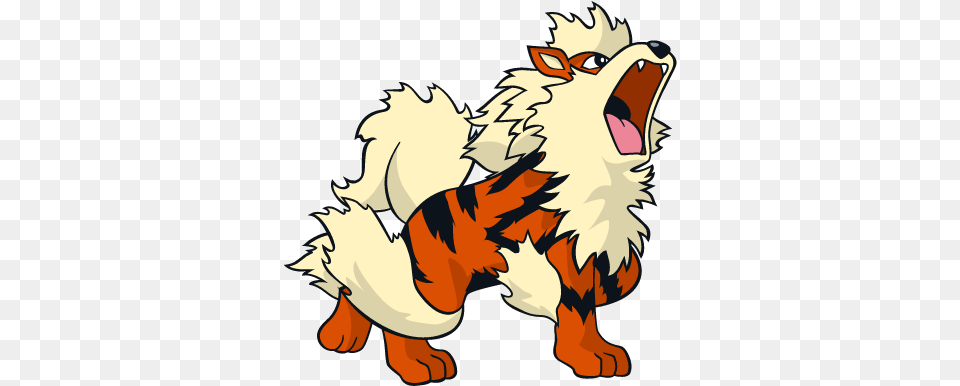 Arcanine 6 Arcanine Pokemon, Baby, Person, Face, Head Png Image