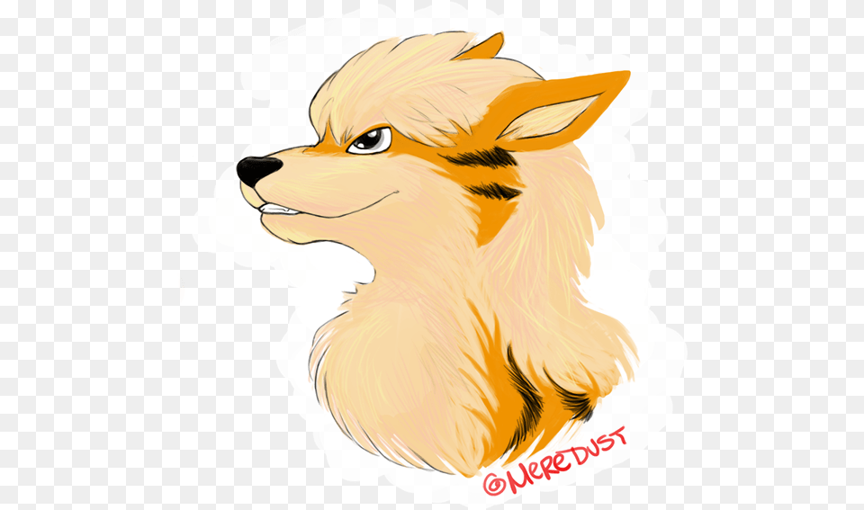 Arcanine Fan Art New, Baby, Person, Animal, Lion Free Png Download