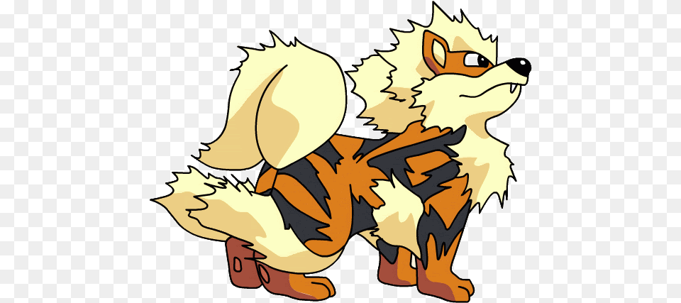 Arcanine Pokemon Arcanine, Baby, Person, Face, Head Png
