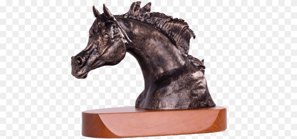Arcb Arabian Series Television Show, Bronze, Animal, Horse, Mammal Free Transparent Png