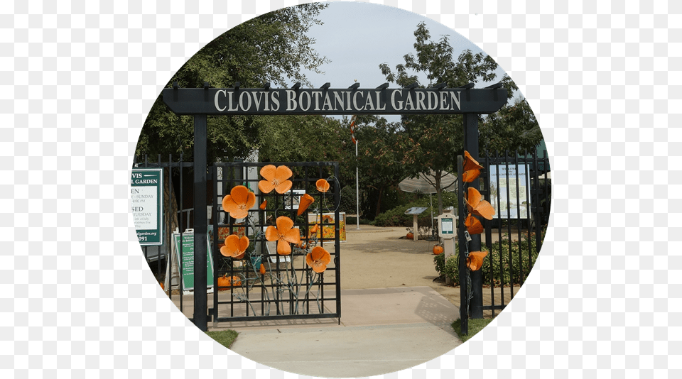 Arch, Garden, Nature, Outdoors, Gate Png Image