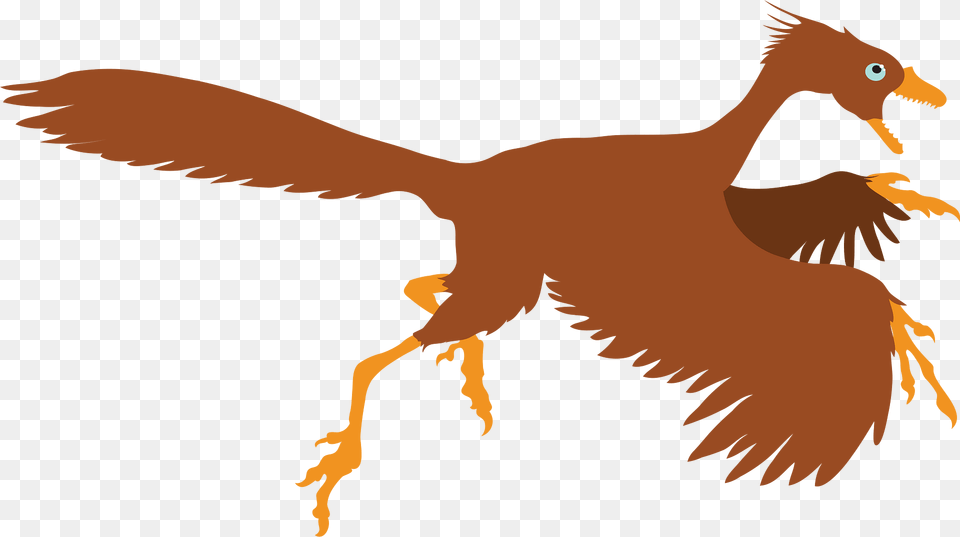 Archaeopteryx Clipart, Animal, Beak, Bird, Dinosaur Free Transparent Png