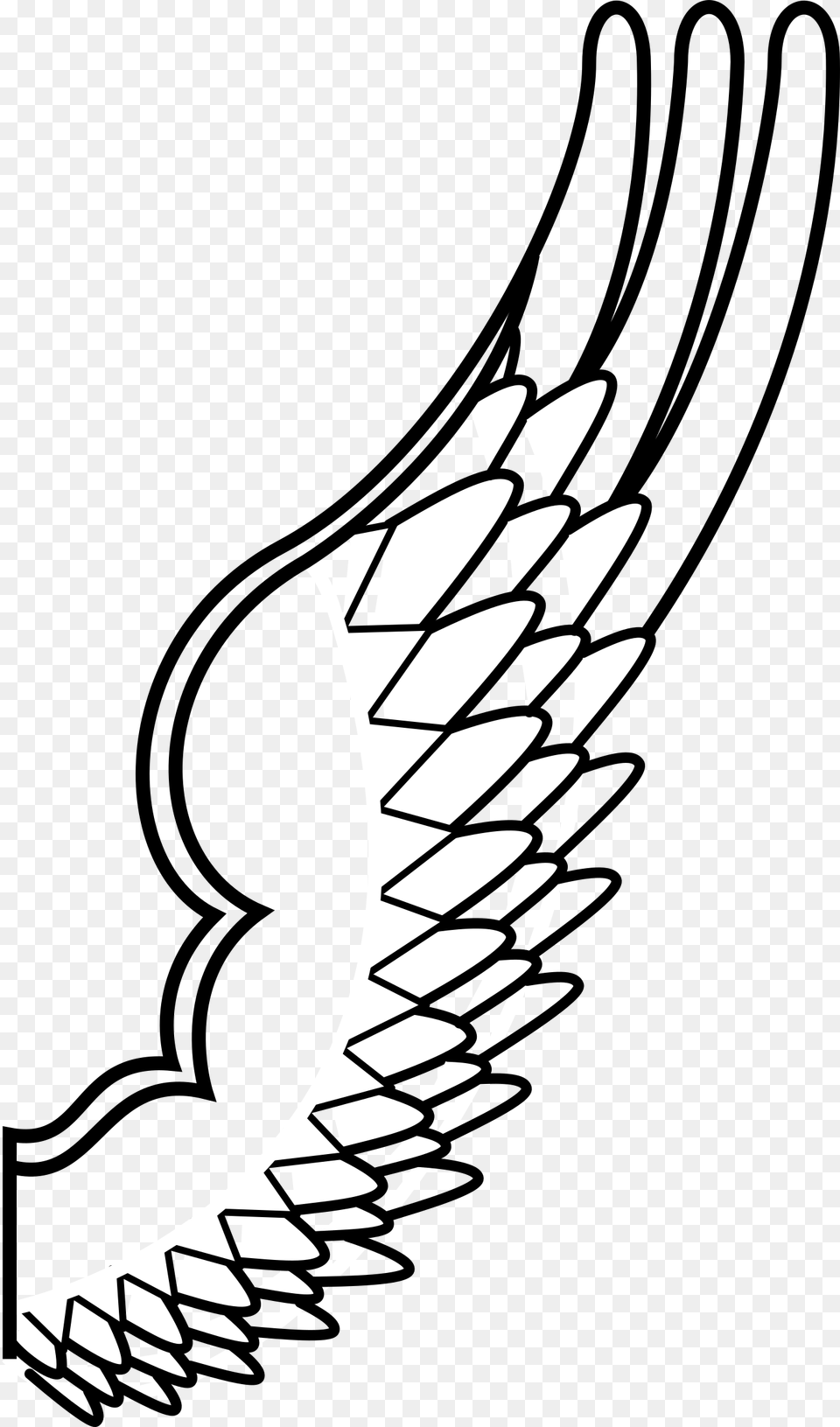 Archaic Drawing Of A Bird Wing Icons, Stencil, Logo, Symbol Free Png