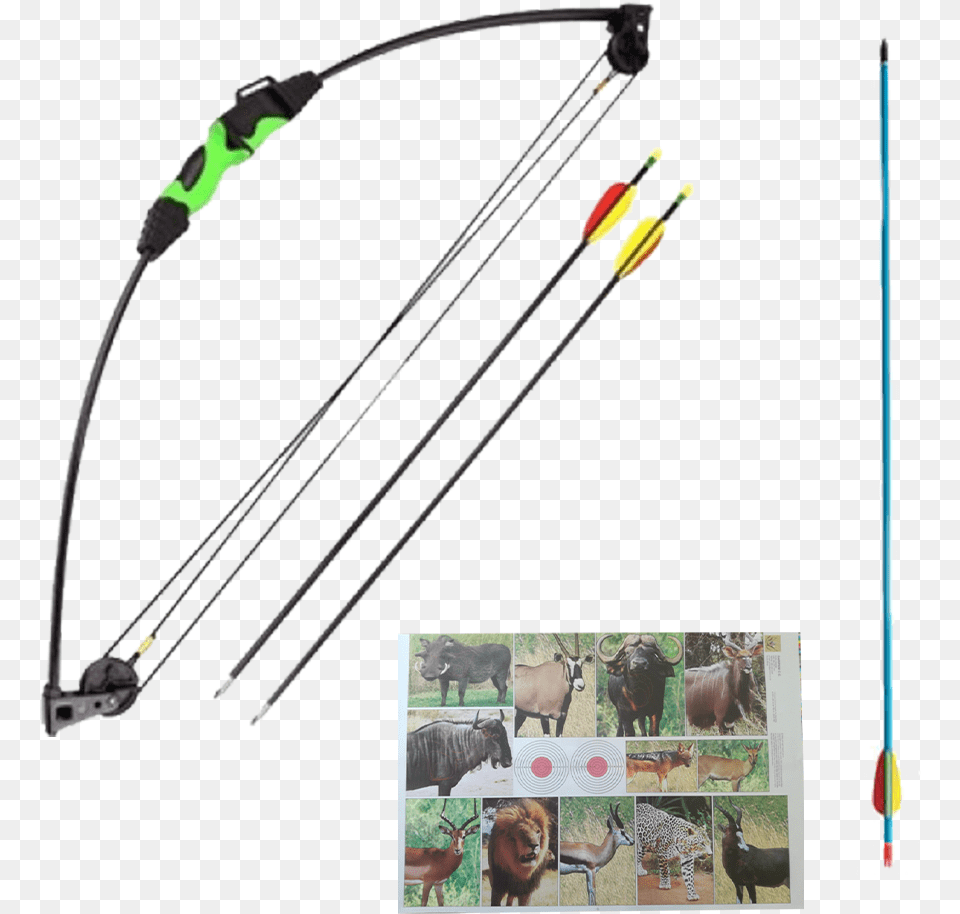 Archery Blades And Triggers Beautifully Designs Products Compound Bow, Weapon, Animal, Mammal, Wildlife Free Png