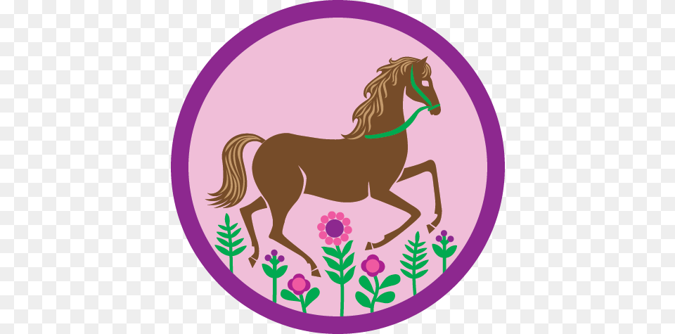 Archery Clipart Girl Scout Horseback Riding Girl Scouts, Animal, Colt Horse, Horse, Mammal Png