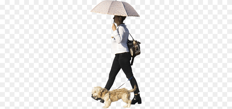 Architectural Entourage Of A Woman Walking With Her Small Yellow, Person, Mammal, Female, Dog Free Png Download