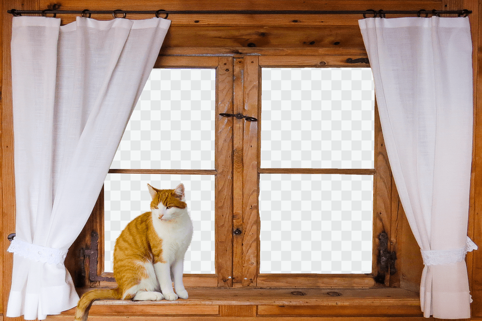 Architecture Wood, Hardwood, Pet, Mammal Png