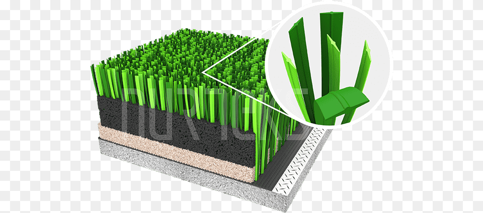 Architecture, Grass, Plant, Green, Potted Plant Png Image