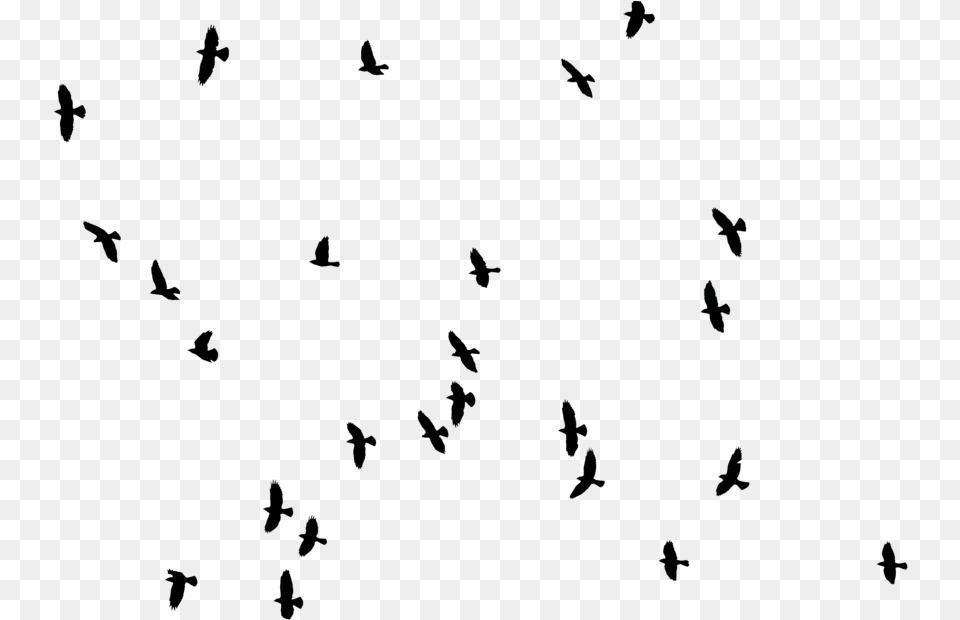 Architecture Birds For Photoshop, Nature, Night, Outdoors, Lighting Free Png