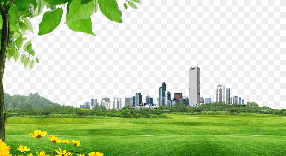 Architecture City Material Background For Building Elevation, Green, Outdoors, Field, Grass Free Transparent Png