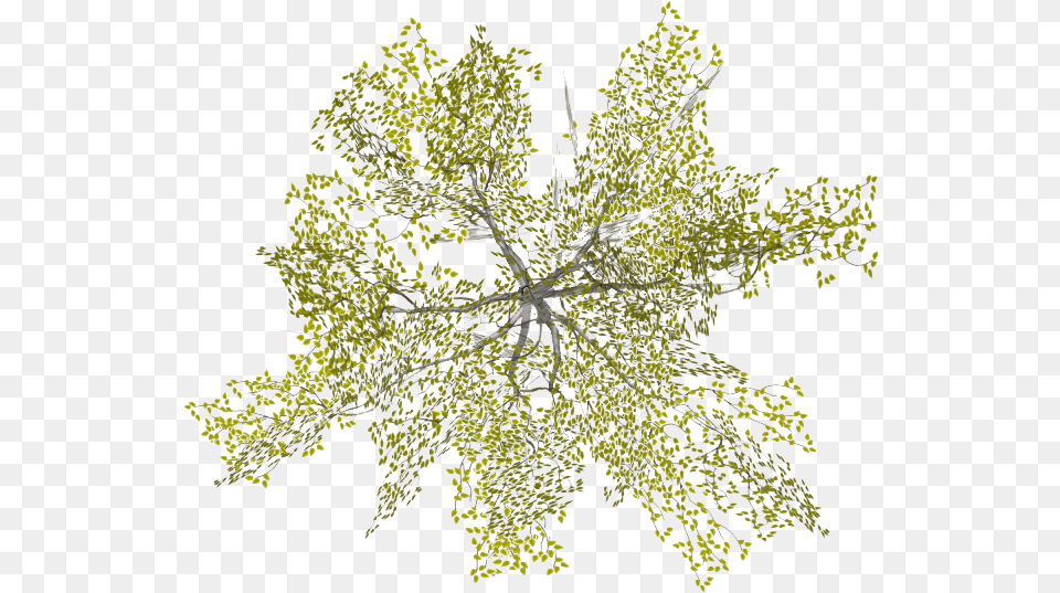 Architecture Tree Plan, Chandelier, Lamp, Plant, Pattern Free Png