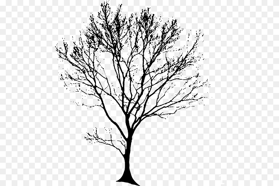 Architecture Tree Silhouette, Art, Drawing, Plant Free Png Download