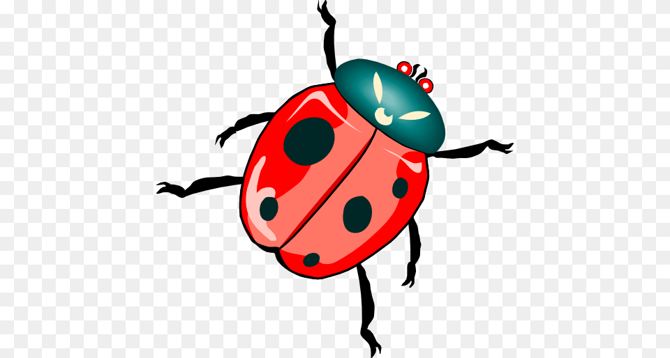 Architetto Coccinellona Clipart, Animal, Dynamite, Weapon Png Image