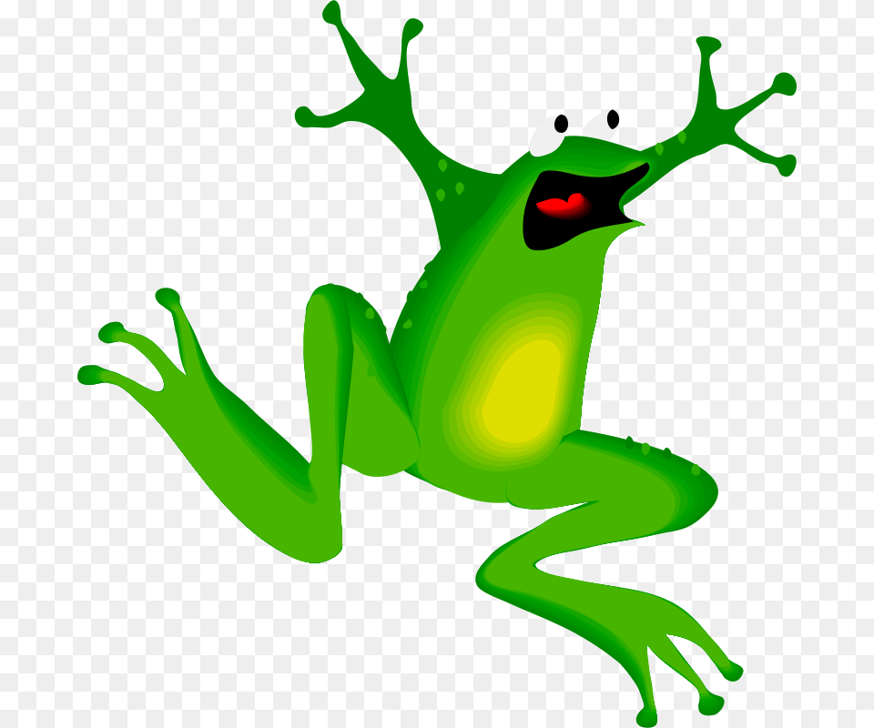 Architetto Franc, Amphibian, Animal, Frog, Wildlife Png