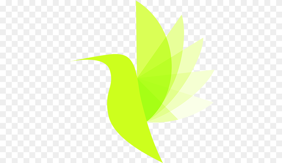 Archlinexp Live Illustration, Green, Plant, Leaf, Art Png Image