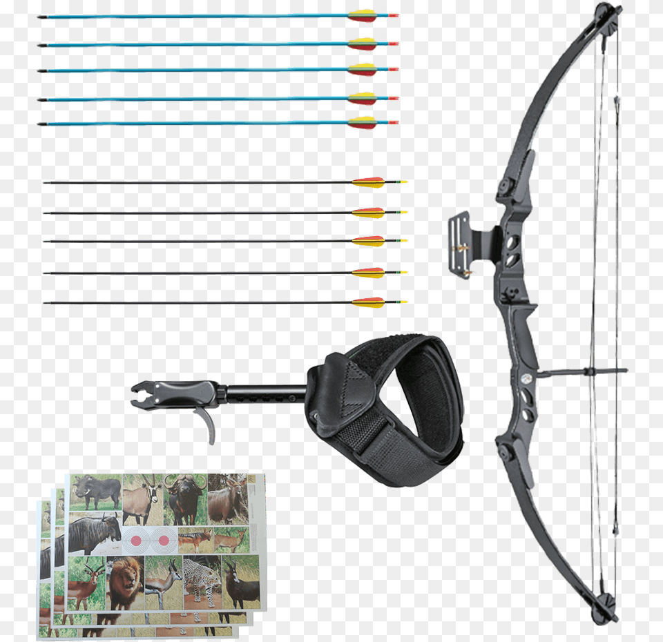 Arco E Flecha 55 Libras, Weapon, Bow, Animal, Mammal Png