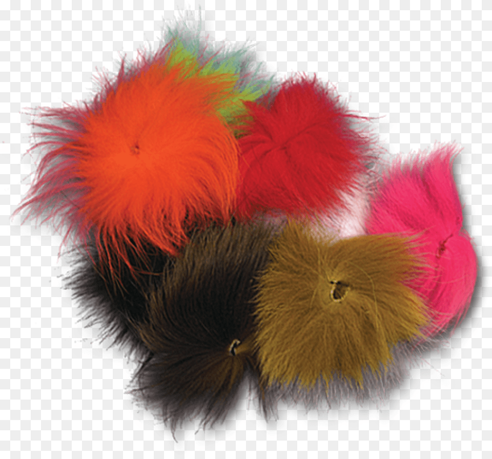 Arctic Fox, Accessories, Dye, Feather Boa, Plant Free Transparent Png