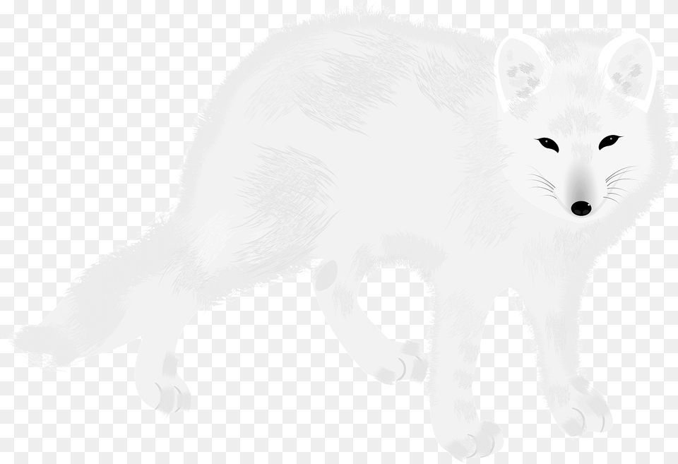 Arctic Fox Clipart, Animal, Mammal, Wildlife, Arctic Fox Free Png Download
