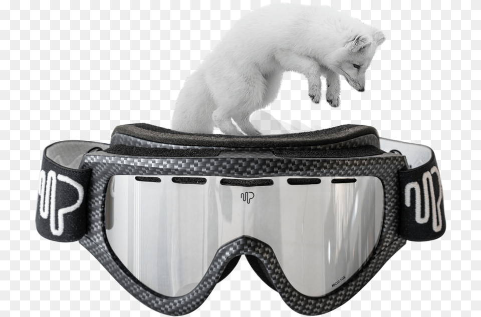 Arctic Fox Jaguar, Accessories, Goggles, Animal, Bear Free Transparent Png