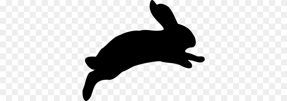Arctic Hare European Hare European Rabbit Snowshoe Hare Domestic, Gray Png