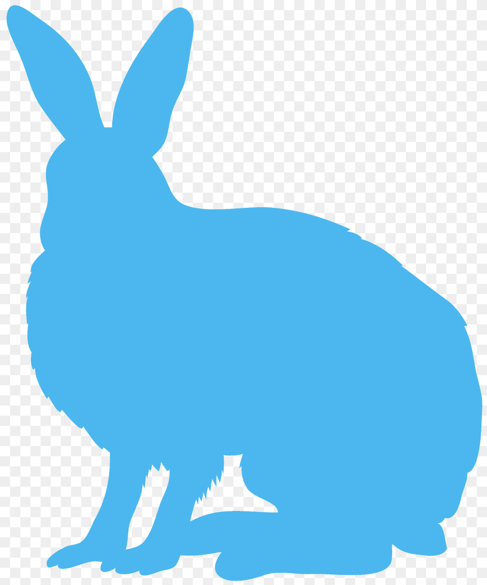 Arctic Hare Silhouette, Animal, Mammal, Rodent, Fish Png