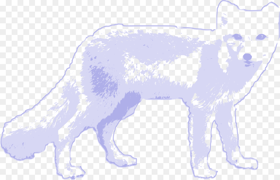 Arctic Wolf Arctic Fox Clipart, Animal, Mammal, Person, Canine Free Transparent Png