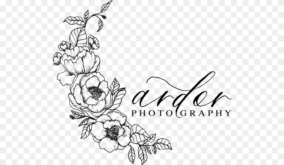 Ardor Photo Blog, Pattern, Art, Floral Design, Graphics Free Png