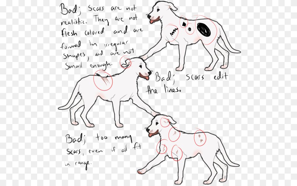 Are Examples Of Bad Scars And Why They Would Get Rejected Line Art, Animal, Canine, Dog, Mammal Png Image