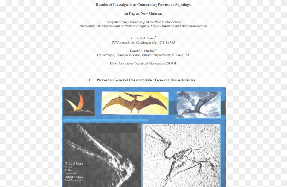 Are Marfa Lights Pterosaurs Vampire Bat, Animal, Bird, Advertisement, Page Free Png