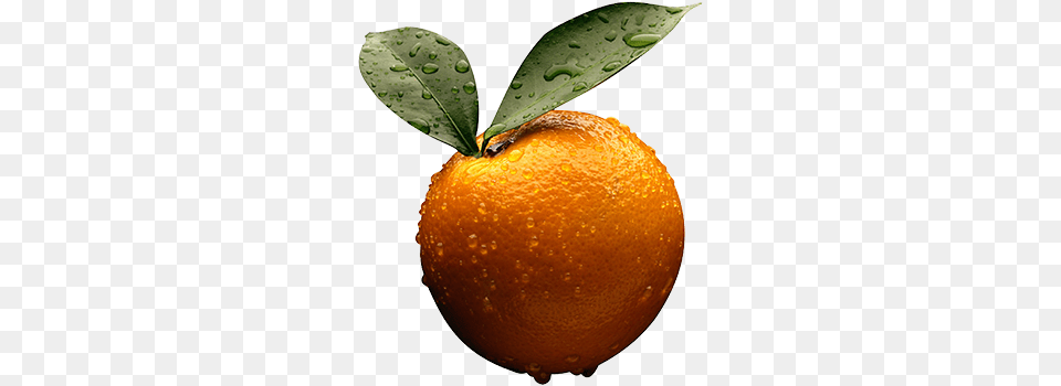 Are Oranges Your Favorite Fruit Marque Urgent Care, Citrus Fruit, Food, Grapefruit, Orange Free Png