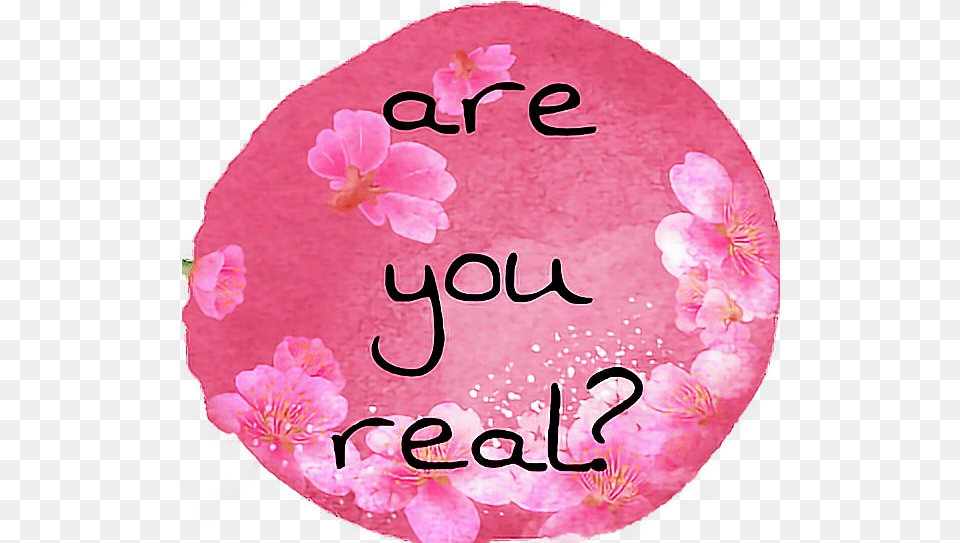 Are You Real Tumblr Aesthetic Pink Text Flower Flower, Petal, Plant, Birthday Cake, Cake Png