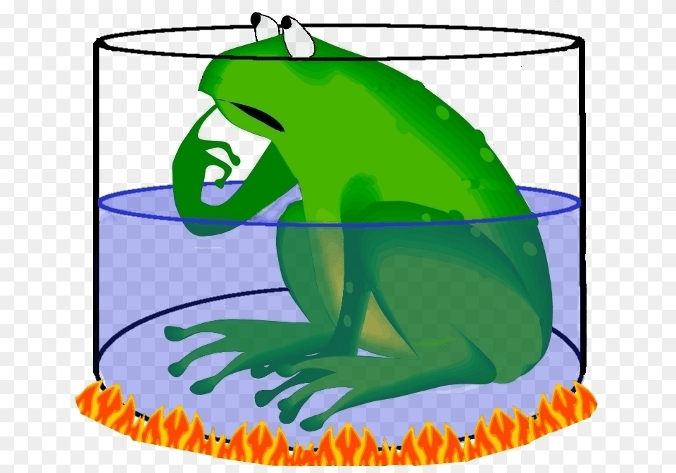 Are You The Frog In The Pot Frogs Thinking Clipart, Amphibian, Animal, Wildlife Png