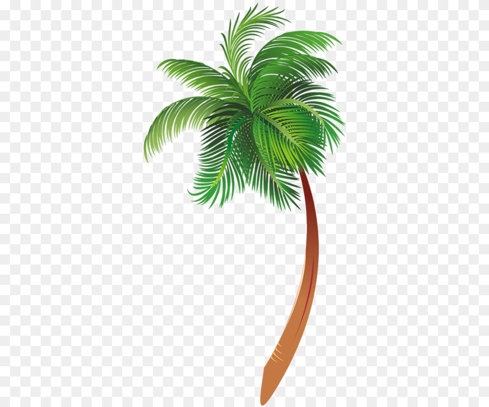 Arecaceae Cartoon Tree Clip Art Cartoon Palm Tree, Palm Tree, Plant, Leaf Free Png