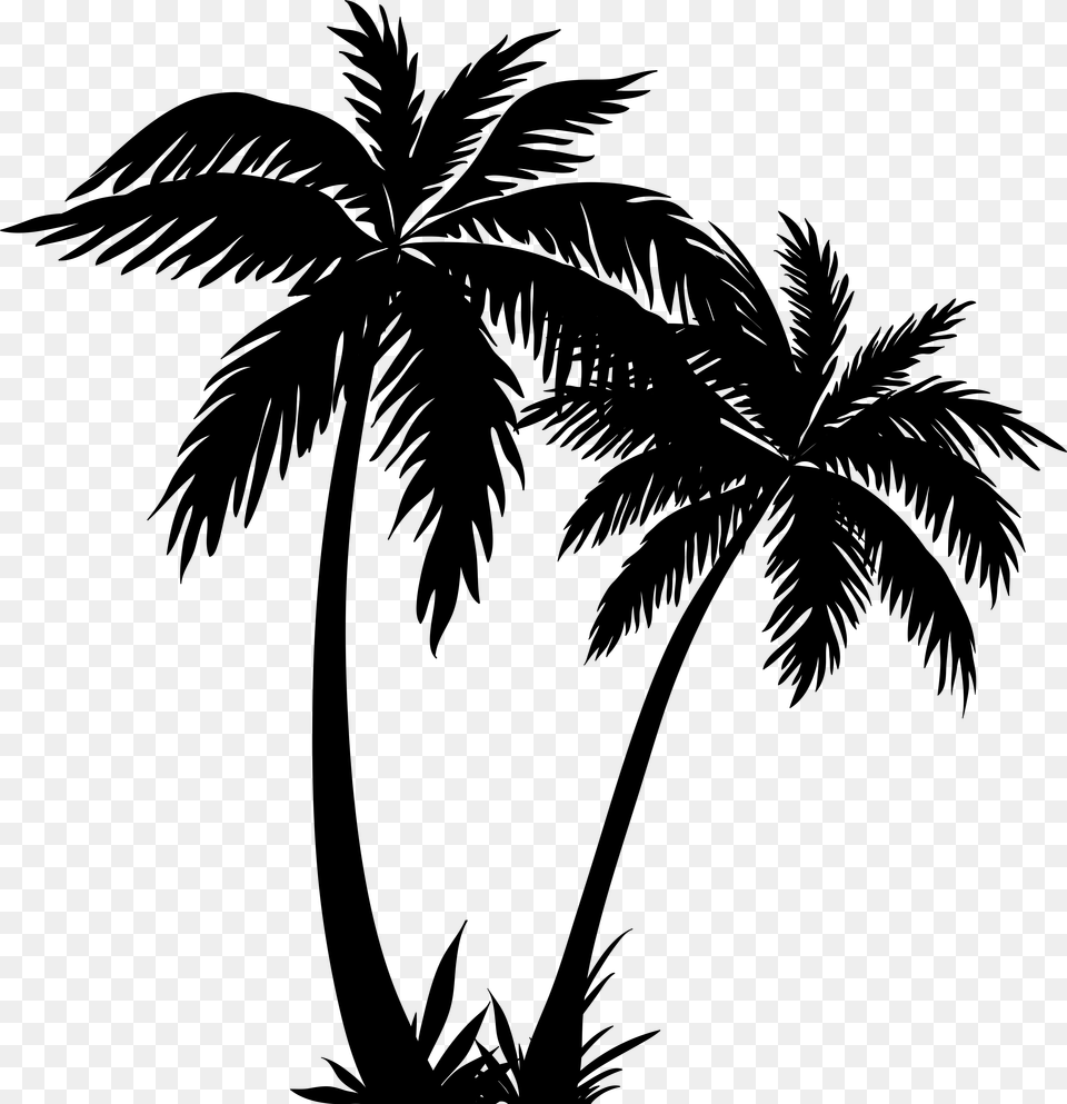 Arecaceae Silhouette Clip Art, Gray Free Png
