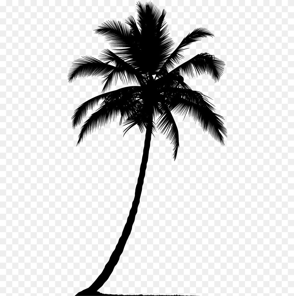 Arecaceae Silhouette Tree Palm Tree Silhouette, Gray Free Transparent Png