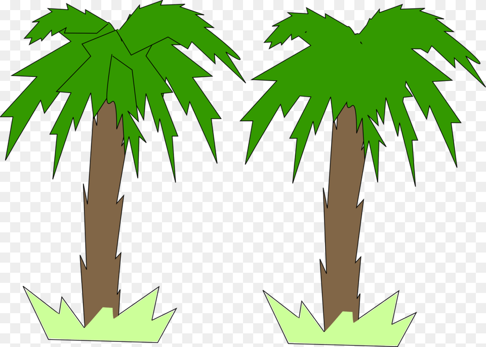 Arecaceae Tree Computer Graphics Two Dimensional Space Coconut, Leaf, Palm Tree, Plant, Vegetation Png Image