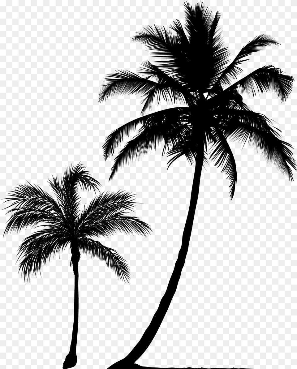 Arecaceae Tree Silhouette Clip Art Coconut Tree Silhouette, Gray Png Image