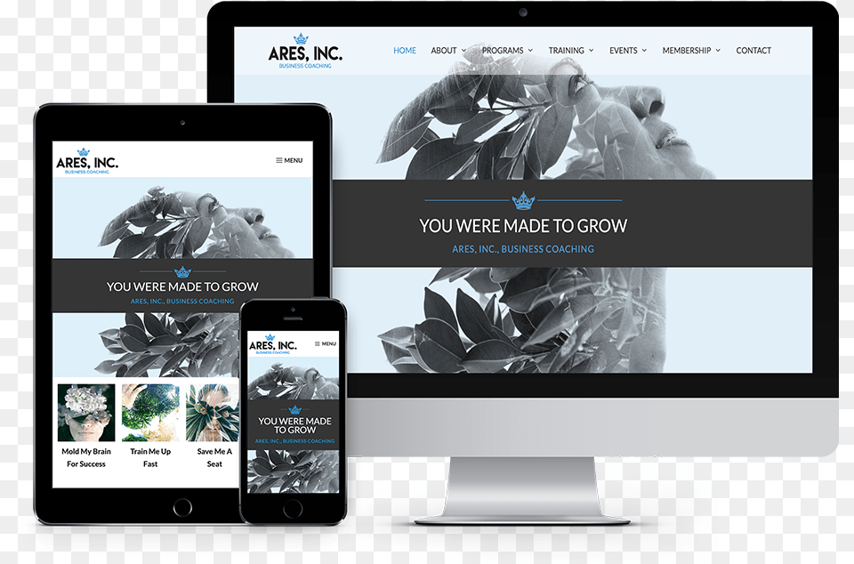 Ares Responsive Responsive Web Design, Electronics, Mobile Phone, Phone, Person Png Image
