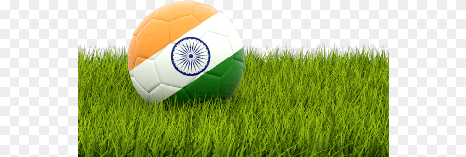 Argentina Flag Download, Ball, Football, Grass, Plant Png