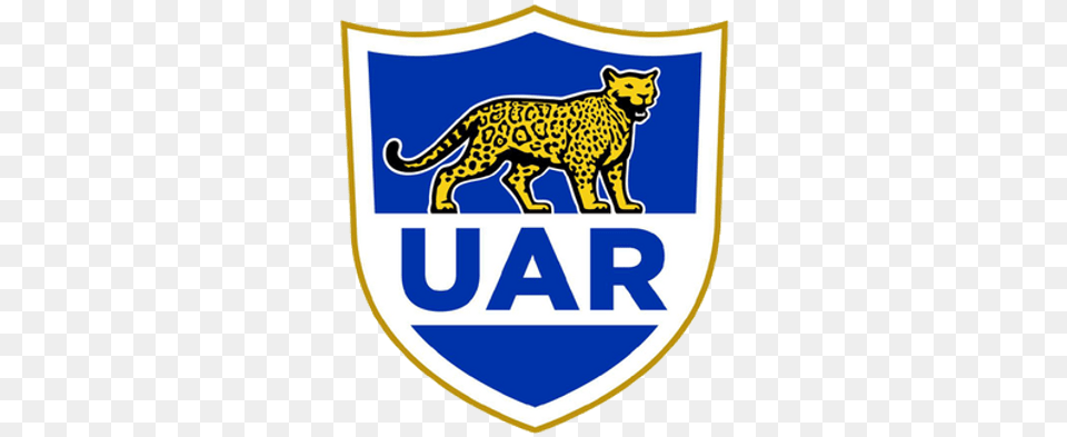 Argentina Rugby Logo, Animal, Mammal, Panther, Wildlife Png Image