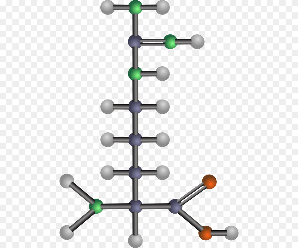 Arginine, Network, Mace Club, Weapon Png Image