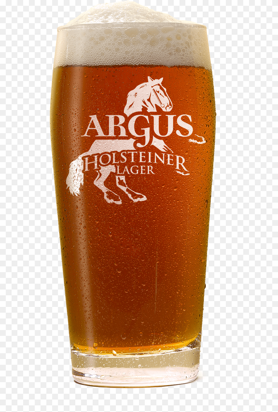 Argus Holsteiner Lager Lager, Alcohol, Liquor, Glass, Beverage Free Png Download