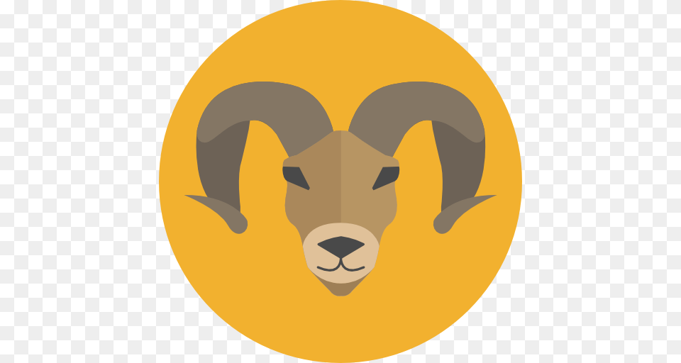 Aries, Livestock, Person, Face, Head Free Png Download